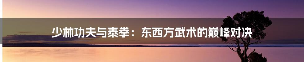 少林功夫与泰拳：东西方武术的巅峰对决