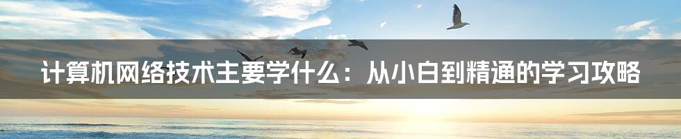 计算机网络技术主要学什么：从小白到精通的学习攻略