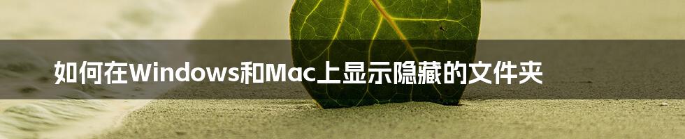 如何在Windows和Mac上显示隐藏的文件夹