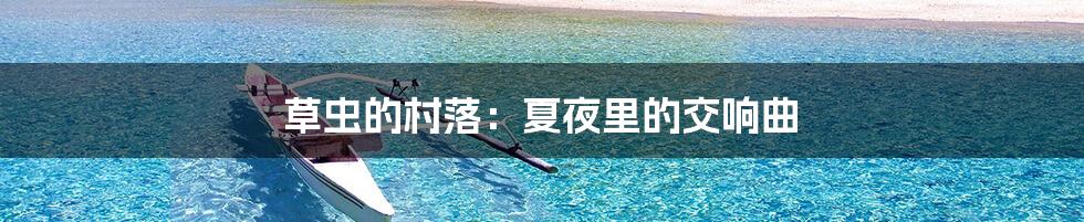 草虫的村落：夏夜里的交响曲