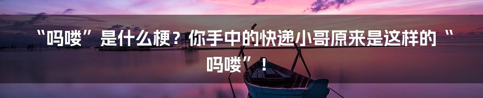 “吗喽”是什么梗？你手中的快递小哥原来是这样的“吗喽”！