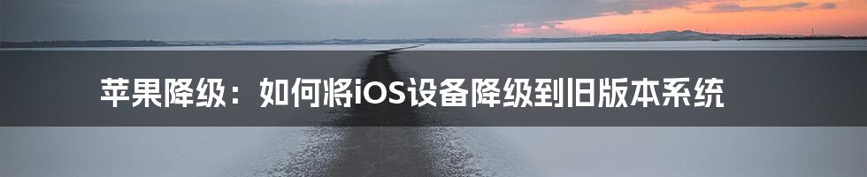 苹果降级：如何将iOS设备降级到旧版本系统