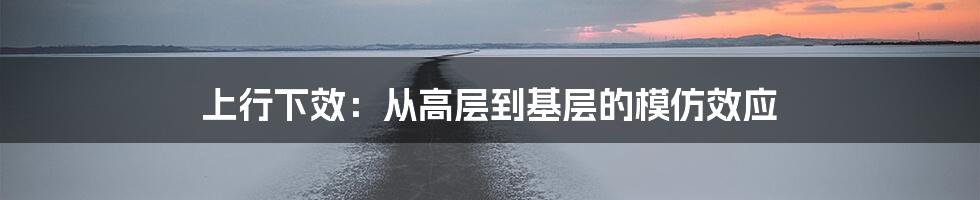 上行下效：从高层到基层的模仿效应