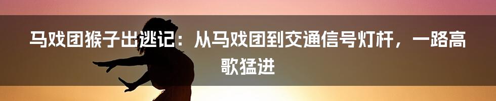 马戏团猴子出逃记：从马戏团到交通信号灯杆，一路高歌猛进