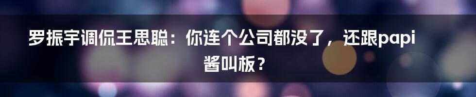 罗振宇调侃王思聪：你连个公司都没了，还跟papi酱叫板？