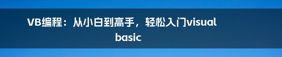 VB编程：从小白到高手，轻松入门visual basic