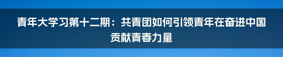 青年大学习第十二期：共青团如何引领青年在奋进中国贡献青春力量