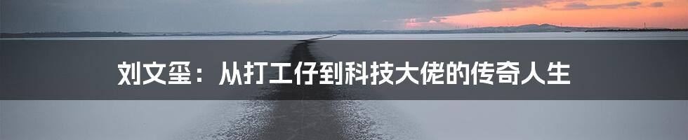 刘文玺：从打工仔到科技大佬的传奇人生