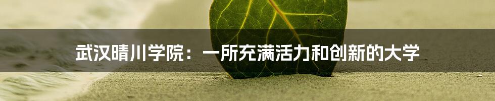 武汉晴川学院：一所充满活力和创新的大学