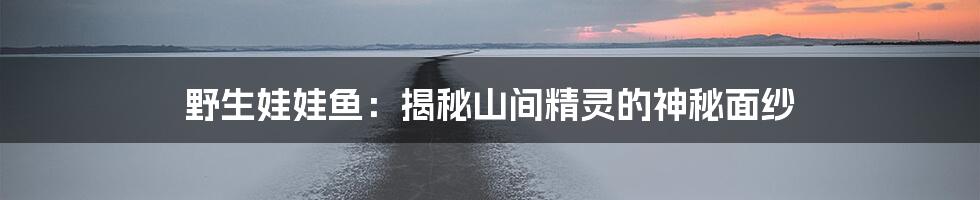 野生娃娃鱼：揭秘山间精灵的神秘面纱