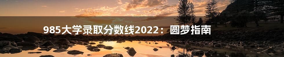 985大学录取分数线2022：圆梦指南