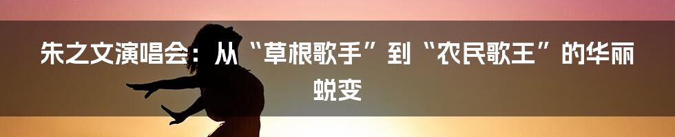 朱之文演唱会：从“草根歌手”到“农民歌王”的华丽蜕变