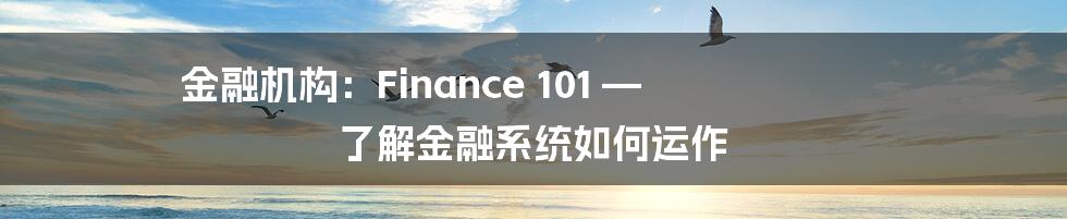 金融机构：Finance 101 — 了解金融系统如何运作