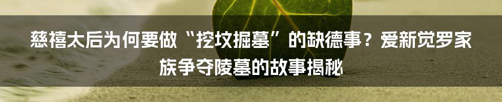 慈禧太后为何要做“挖坟掘墓”的缺德事？爱新觉罗家族争夺陵墓的故事揭秘