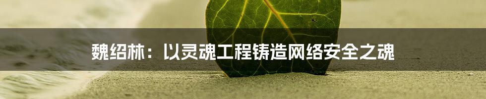 魏绍林：以灵魂工程铸造网络安全之魂