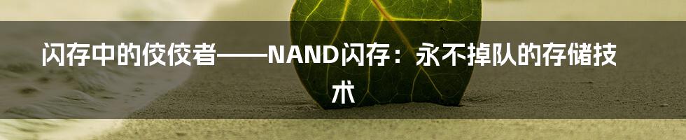 闪存中的佼佼者——NAND闪存：永不掉队的存储技术