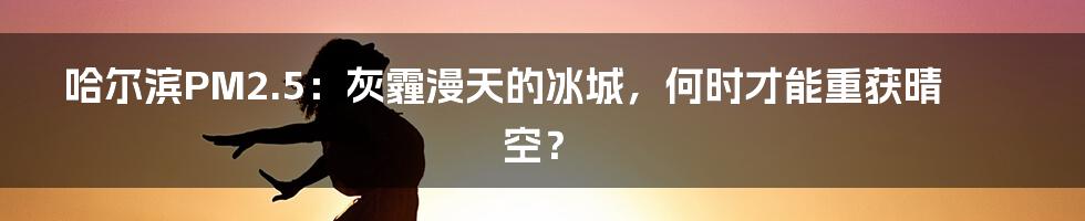 哈尔滨PM2.5：灰霾漫天的冰城，何时才能重获晴空？