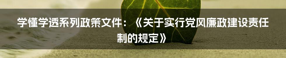 学懂学透系列政策文件：《关于实行党风廉政建设责任制的规定》