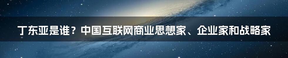 丁东亚是谁？中国互联网商业思想家、企业家和战略家