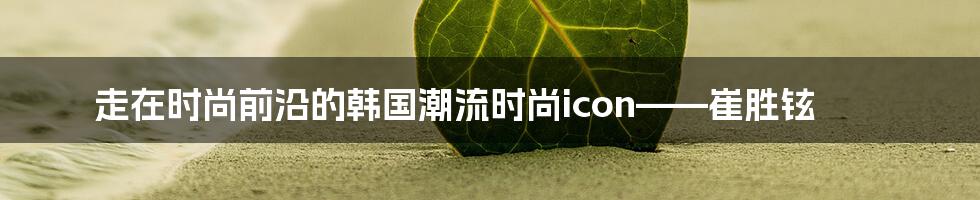 走在时尚前沿的韩国潮流时尚icon——崔胜铉