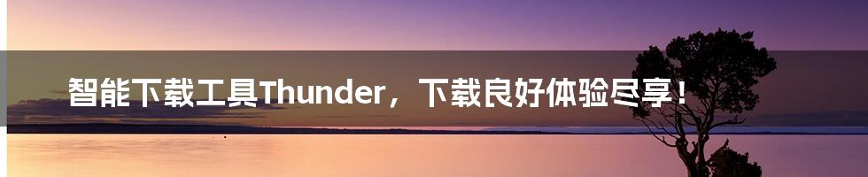 智能下载工具Thunder，下载良好体验尽享！