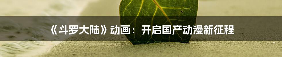 《斗罗大陆》动画：开启国产动漫新征程