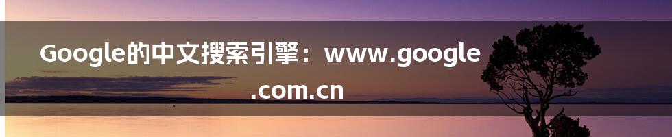 Google的中文搜索引擎：www.google.com.cn