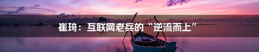 崔琦：互联网老兵的“逆流而上”