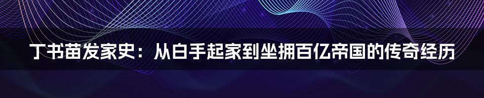 丁书苗发家史：从白手起家到坐拥百亿帝国的传奇经历