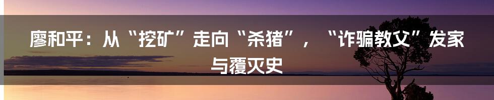 廖和平：从“挖矿”走向“杀猪”，“诈骗教父”发家与覆灭史