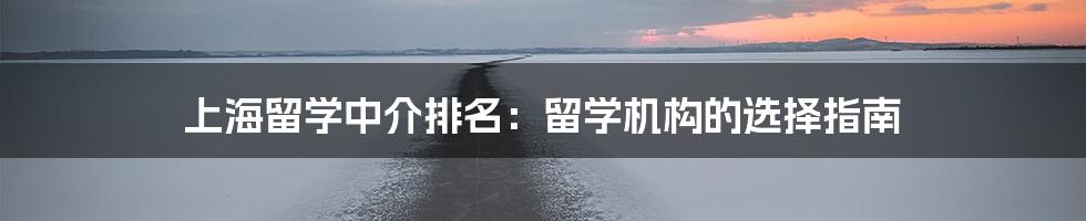 上海留学中介排名：留学机构的选择指南