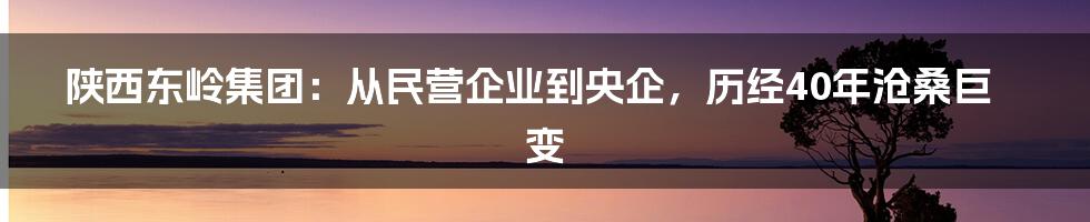 陕西东岭集团：从民营企业到央企，历经40年沧桑巨变