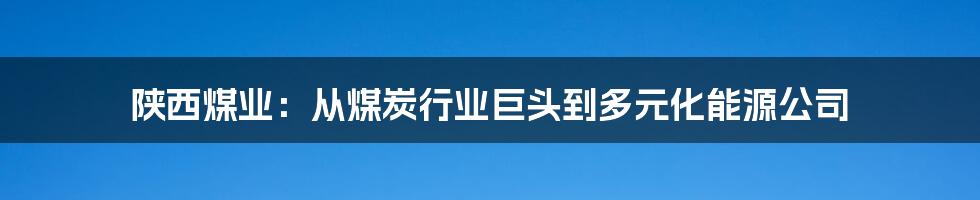 陕西煤业：从煤炭行业巨头到多元化能源公司