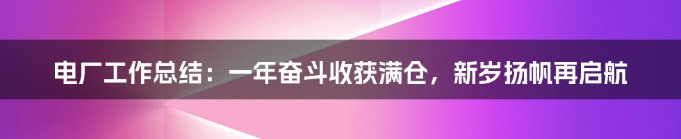 电厂工作总结：一年奋斗收获满仓，新岁扬帆再启航