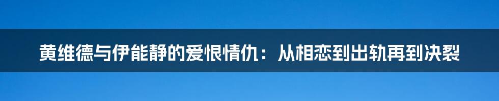 黄维德与伊能静的爱恨情仇：从相恋到出轨再到决裂