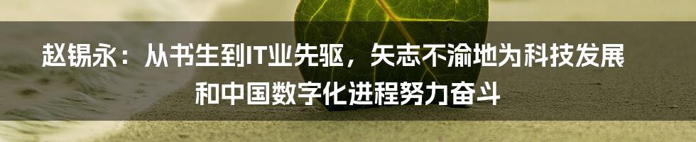 赵锡永：从书生到IT业先驱，矢志不渝地为科技发展和中国数字化进程努力奋斗