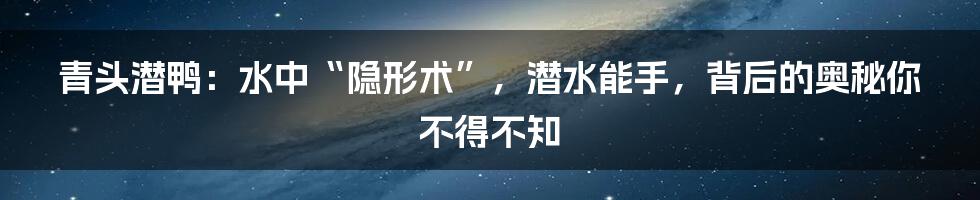 青头潜鸭：水中“隐形术”，潜水能手，背后的奥秘你不得不知