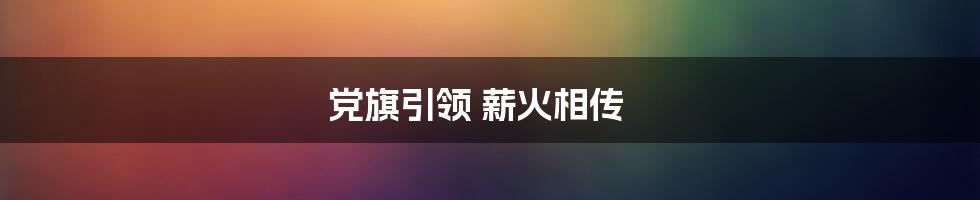 党旗引领 薪火相传