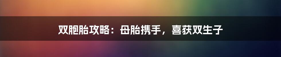 双胞胎攻略：母胎携手，喜获双生子