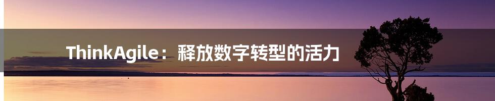 ThinkAgile：释放数字转型的活力