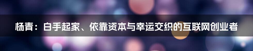 杨青：白手起家、依靠资本与幸运交织的互联网创业者