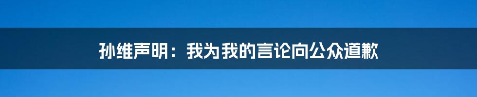 孙维声明：我为我的言论向公众道歉