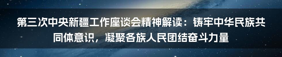 第三次中央新疆工作座谈会精神解读：铸牢中华民族共同体意识，凝聚各族人民团结奋斗力量