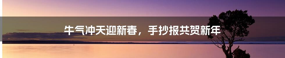 牛气冲天迎新春，手抄报共贺新年