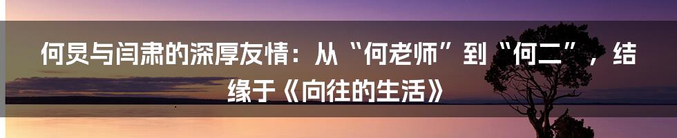 何炅与闫肃的深厚友情：从“何老师”到“何二”，结缘于《向往的生活》