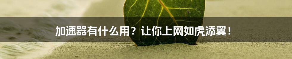 加速器有什么用？让你上网如虎添翼！