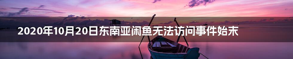 2020年10月20日东南亚闲鱼无法访问事件始末