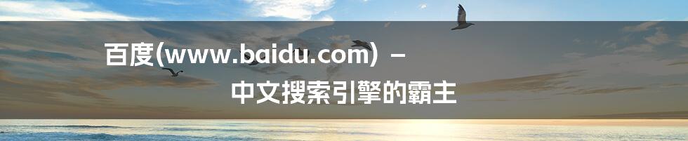 百度(www.baidu.com) － 中文搜索引擎的霸主