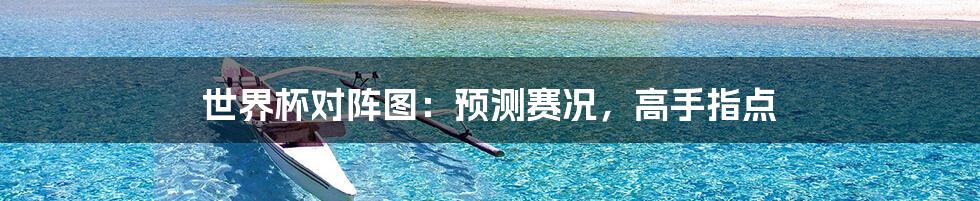 世界杯对阵图：预测赛况，高手指点