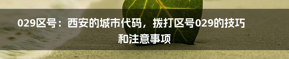 029区号：西安的城市代码，拨打区号029的技巧和注意事项